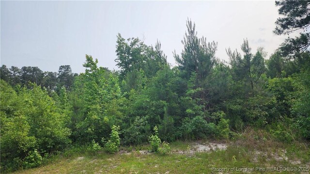 398 Dogwood Trl, Lumber Bridge, NC 28371 - photo 2