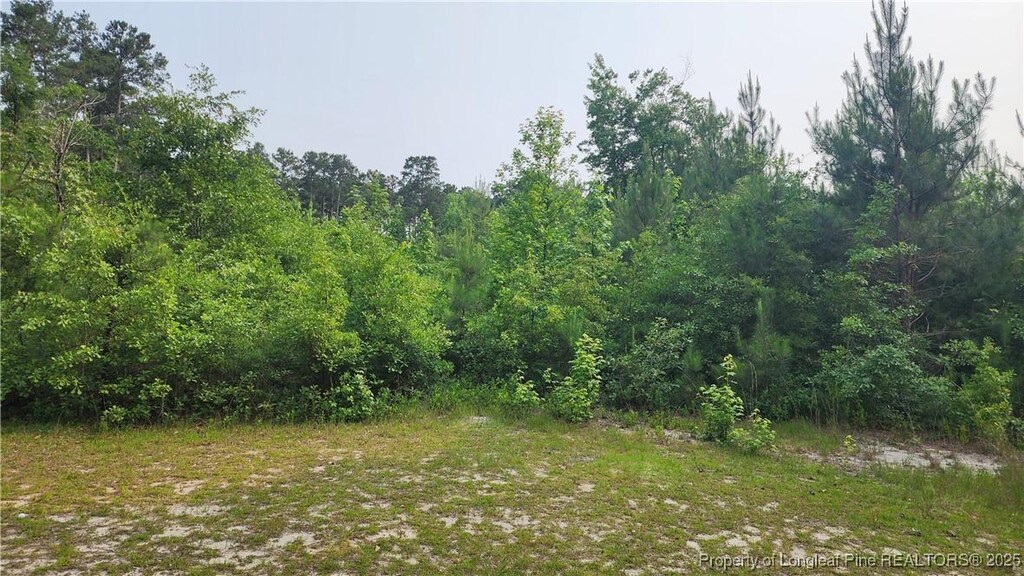 398 Dogwood Trl, Lumber Bridge, NC 28371 - photo 3