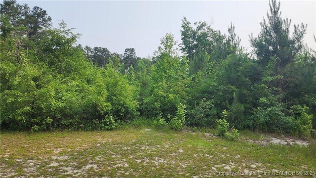 398 Dogwood Trl, Lumber Bridge, NC 28371 - photo 3