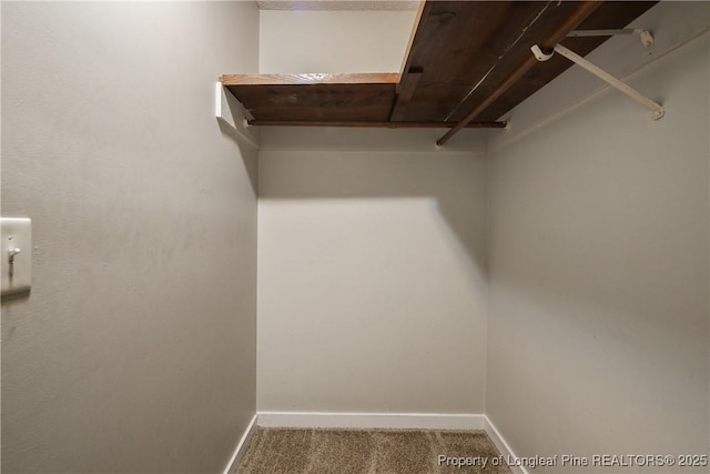 303 Whipple Tree Ln, Fayetteville, NC 28314 - walk in closet featuring carpet