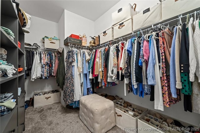 500 Legacy Lakes Way, Aberdeen, NC 28315 - walk in closet with carpet flooring