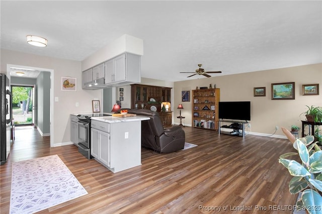 4327 Falls Dr, Hope Mills, NC 28348 - kitchen with range with electric cooktop, under cabinet range hood, wood finished floors, light countertops, and freestanding refrigerator