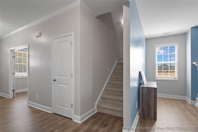 5051 Boxcut Ln, Hope Mills, NC 28348 - photo 27