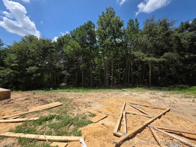969 Townsend Rd, Raeford, NC 28376 - photo 5