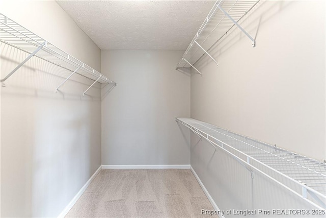 3831 Talus Rd, Fayetteville, NC 28306 - photo 24
