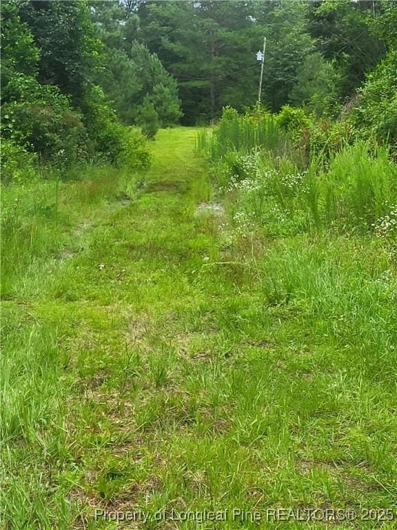 E Sarah Ln E, Laurinburg, NC 28352 - photo 1