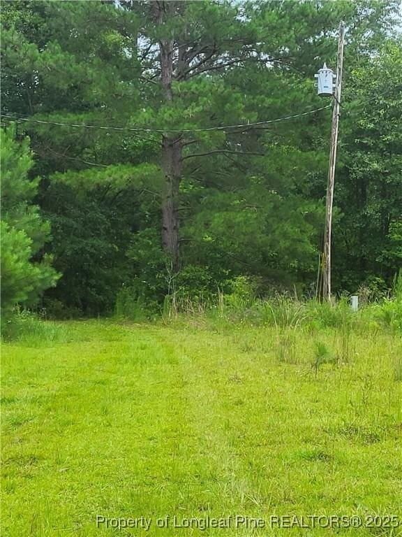 E Sarah Ln E, Laurinburg, NC 28352 - photo 2