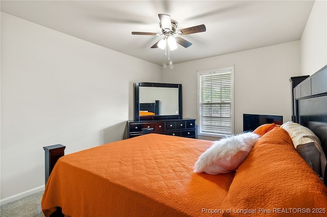 235 Cobblestone Dr, Spring Lake, NC 28390 - photo 17