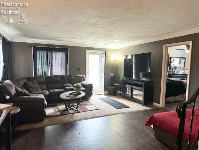 living room featuring hardwood / wood-style flooring