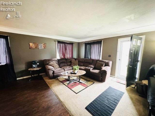 living room featuring hardwood / wood-style flooring