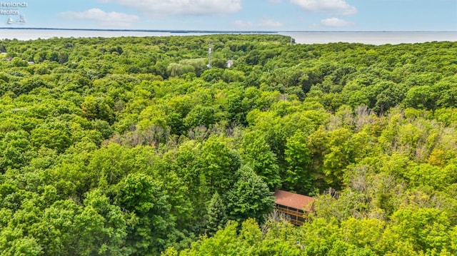 view of drone / aerial view