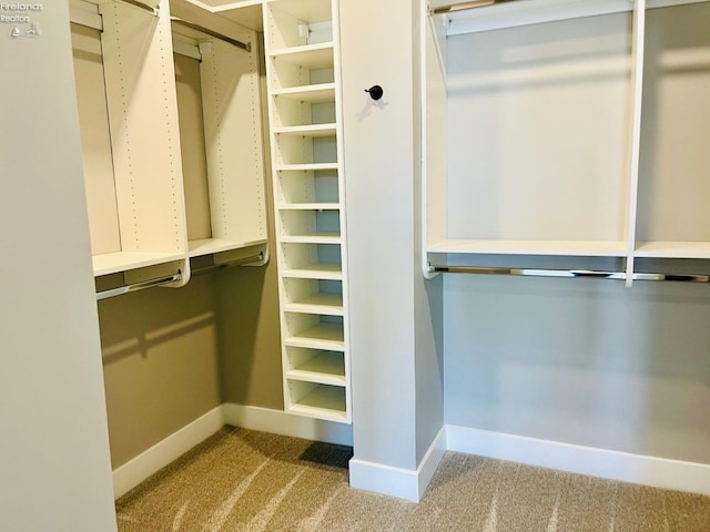 spacious closet featuring carpet