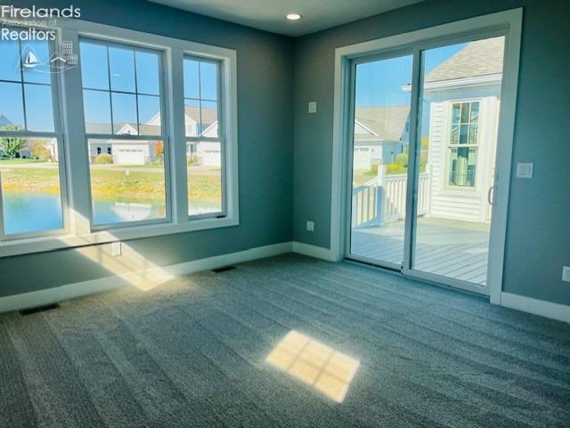 empty room with carpet floors, a healthy amount of sunlight, and baseboards