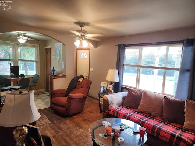 living room with a wealth of natural light, ceiling fan, and dark hardwood / wood-style floors