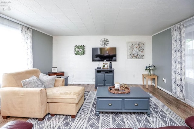 living room featuring hardwood / wood-style floors