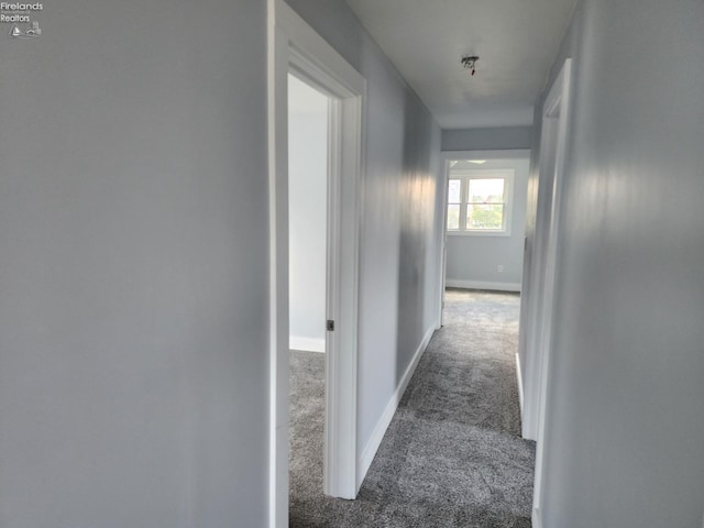 hallway featuring carpet floors