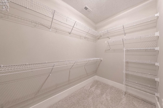 walk in closet with carpet flooring