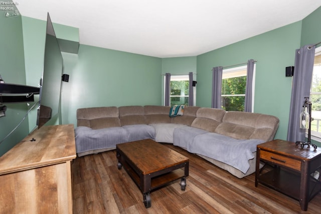 living room with hardwood / wood-style flooring