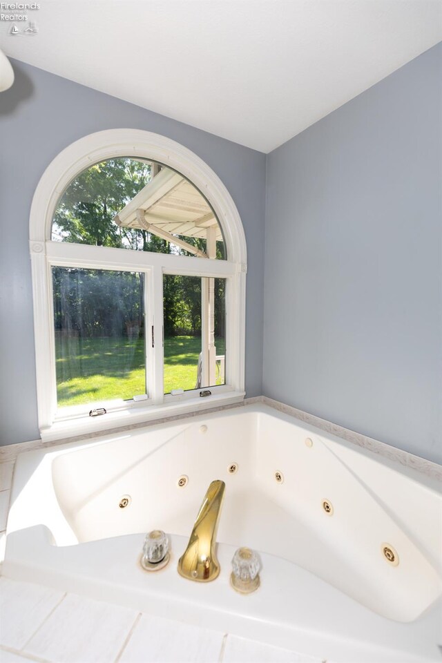 bathroom featuring a wealth of natural light