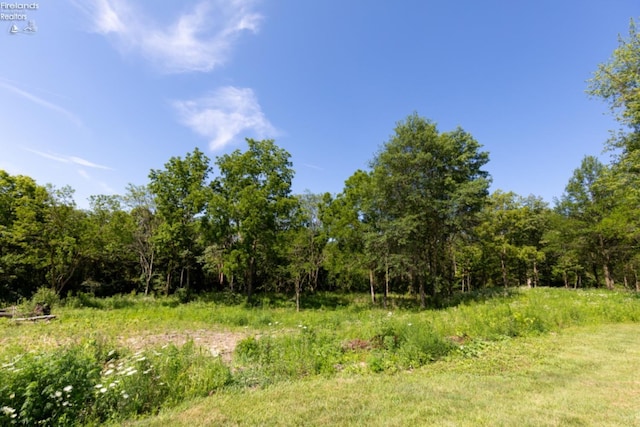 view of local wilderness