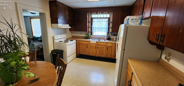 kitchen featuring range hood, white appliances, sink, and a paneled ceiling