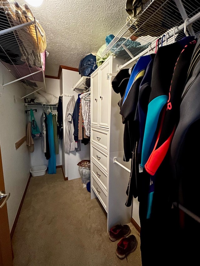 spacious closet featuring carpet