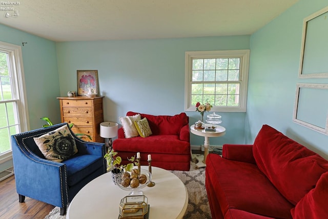 living room with hardwood / wood-style floors