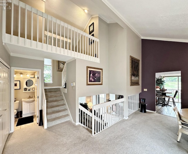 staircase featuring a textured ceiling, high vaulted ceiling, sink, ornamental molding, and carpet floors