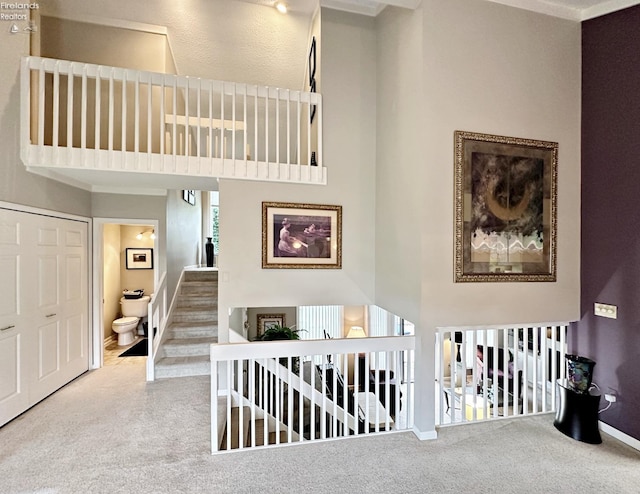 hallway featuring a high ceiling and carpet floors