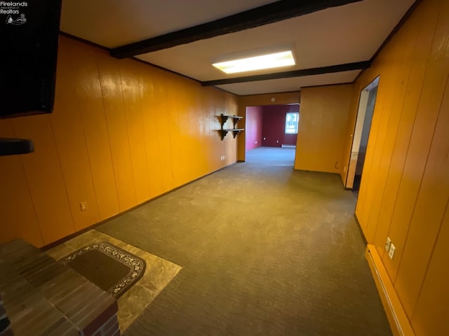 basement featuring wood walls and carpet flooring