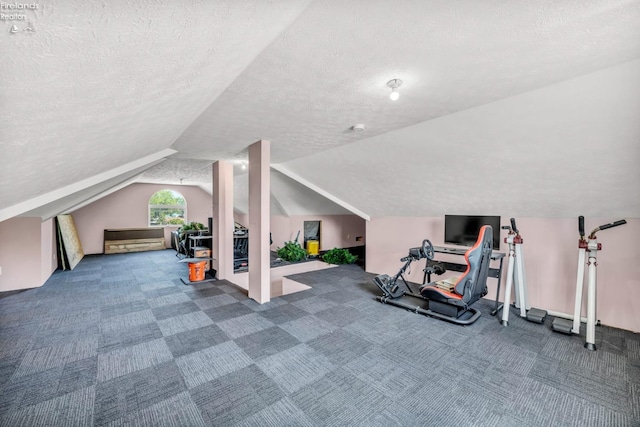 1909 N Nan Ave, Marblehead, OH 43440 - workout room with a textured ceiling, lofted ceiling, and carpet floors