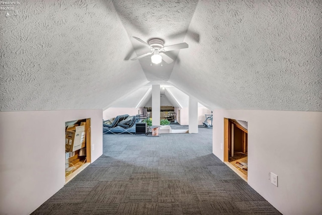 1909 N Nan Ave, Marblehead, OH 43440 - additional living space featuring a textured ceiling, ceiling fan, vaulted ceiling, and carpet floors