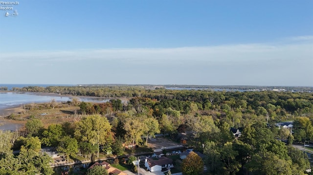 1909 N Nan Ave, Marblehead, OH 43440 - aerial view of property and surrounding area featuring a large body of water and a heavily wooded area