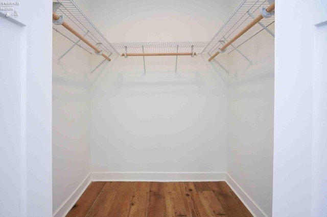 walk in closet featuring hardwood / wood-style floors