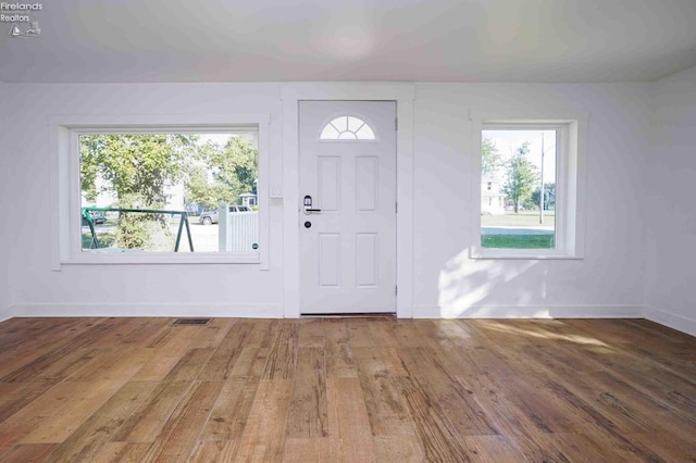 foyer entrance with wood-type flooring and plenty of natural light