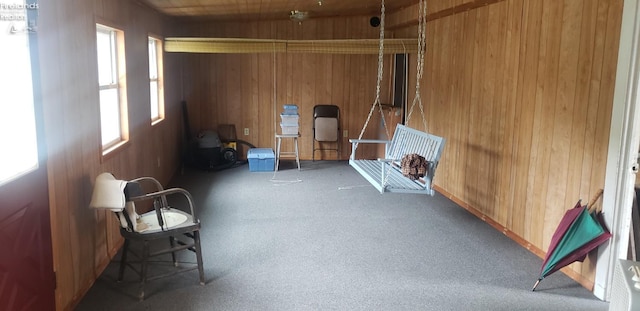 miscellaneous room with a healthy amount of sunlight, carpet flooring, and wooden walls