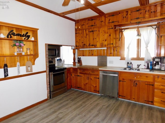 kitchen featuring ceiling fan, dark hardwood / wood-style floors, sink, and appliances with stainless steel finishes