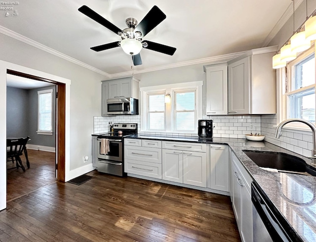 kitchen with plenty of natural light, stainless steel appliances, sink, dark hardwood / wood-style floors, and ceiling fan