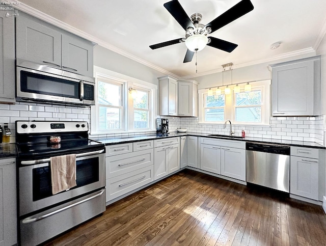 kitchen with dark wood-type flooring, stainless steel appliances, ornamental molding, sink, and ceiling fan