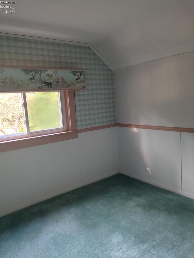 additional living space with carpet and vaulted ceiling