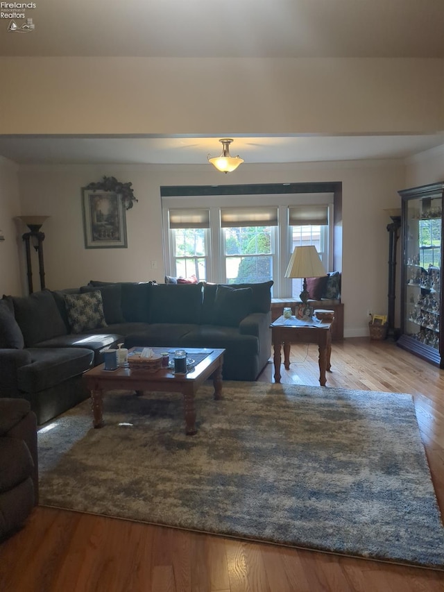 living room with hardwood / wood-style floors