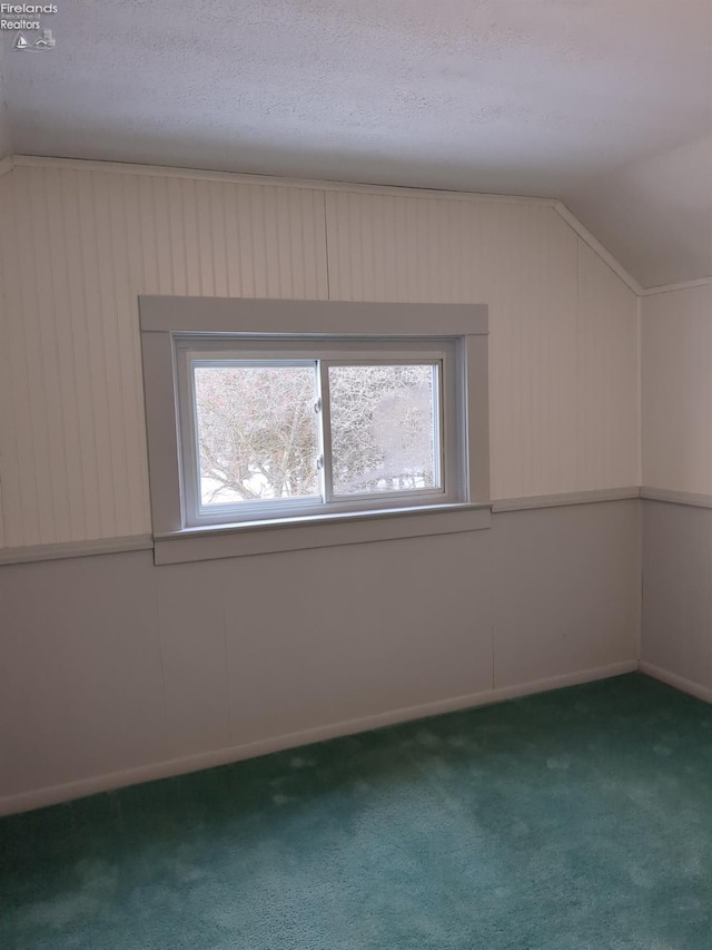 additional living space with a textured ceiling, carpet floors, and vaulted ceiling