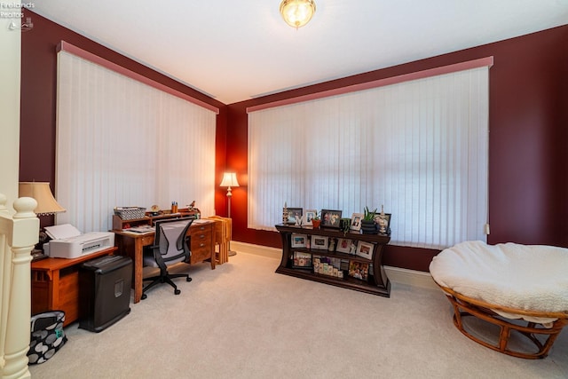 office featuring light colored carpet