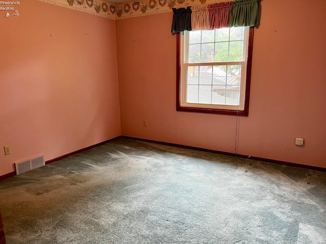 spare room featuring carpet floors