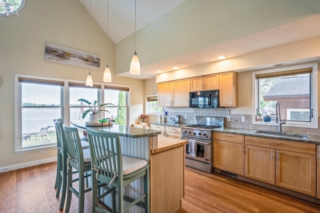 kitchen with sink, hanging light fixtures, high vaulted ceiling, light hardwood / wood-style flooring, and high end range