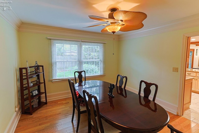 dining room with light hardwood / wood-style flooring, ceiling fan, and crown molding