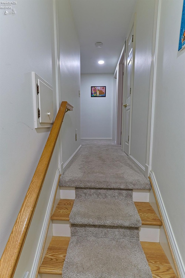 stairs featuring carpet flooring