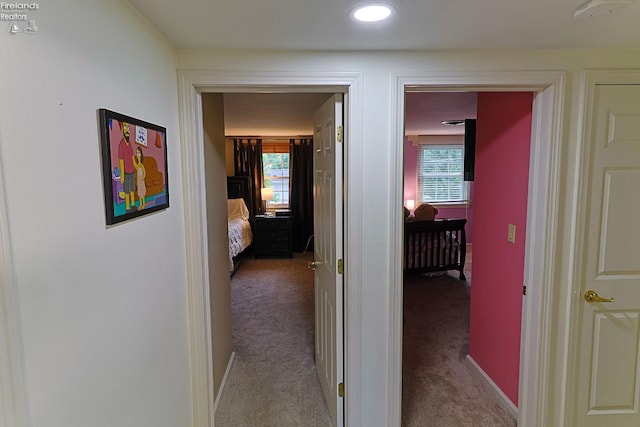 corridor with carpet and plenty of natural light