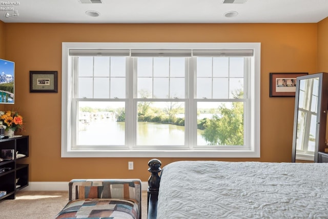 carpeted bedroom with multiple windows