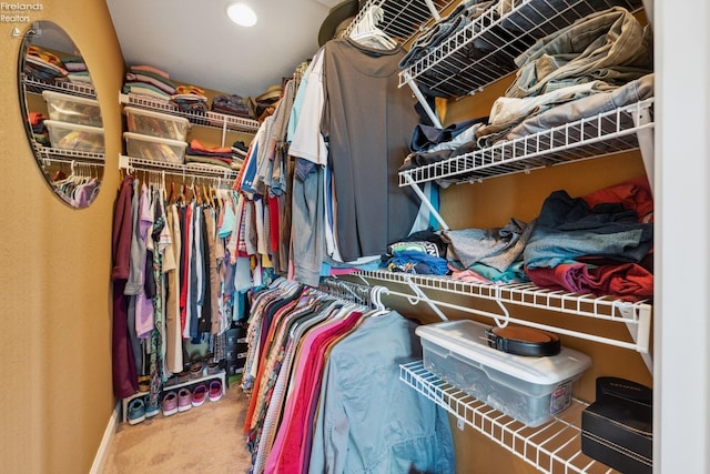 spacious closet with carpet